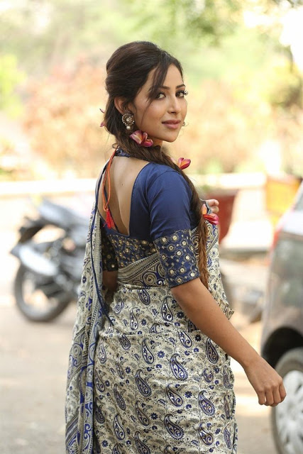 Beautiful Actress Kapilakshi Malhotra In Blue Saree 29